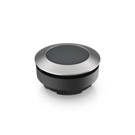 Rafi Config Sw Body Pushbut Non-Illum 1.30.290.031/0100